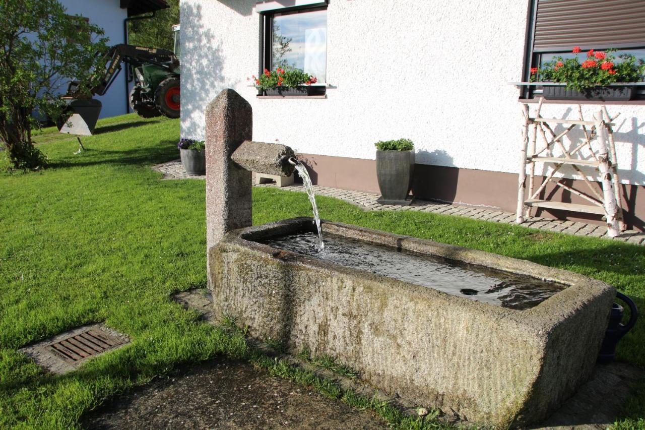 Apartman Mitterdorf Almberg 7 Mitterfirmiansreut Exterior photo